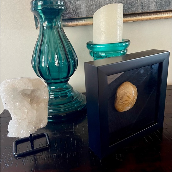 Fossil - Sand dollar fossil framed wall art - Picture 4 of 6